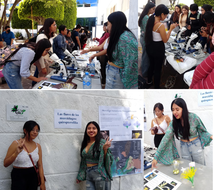 Descripción de la imagen