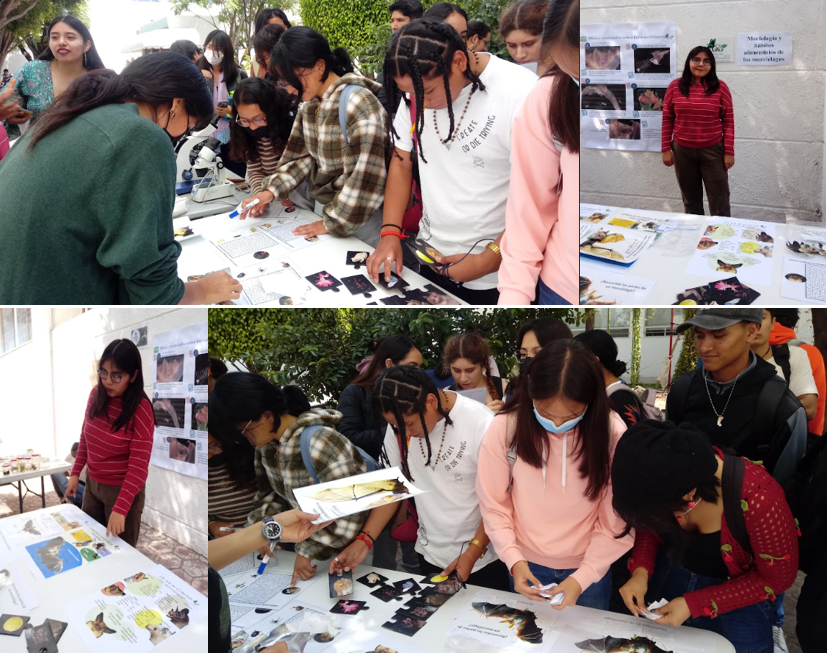 Descripción de la imagen