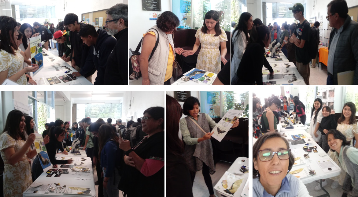 Descripción de la imagen