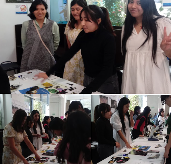 Descripción de la imagen