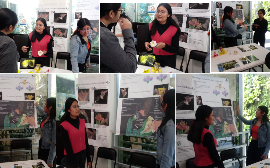 Descripción de la imagen