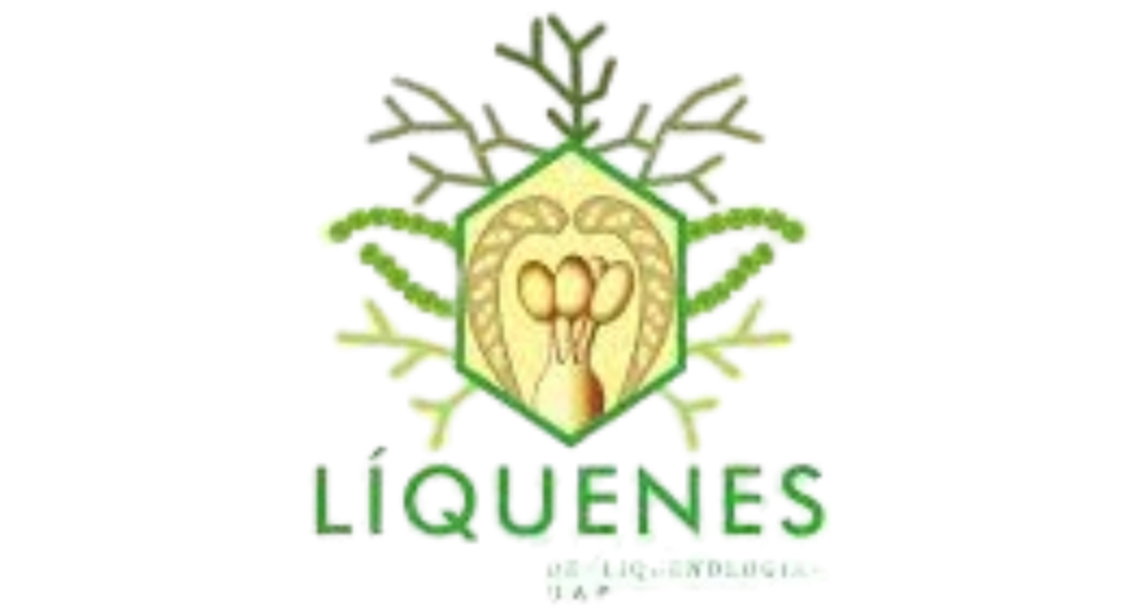 Descripción de la imagen