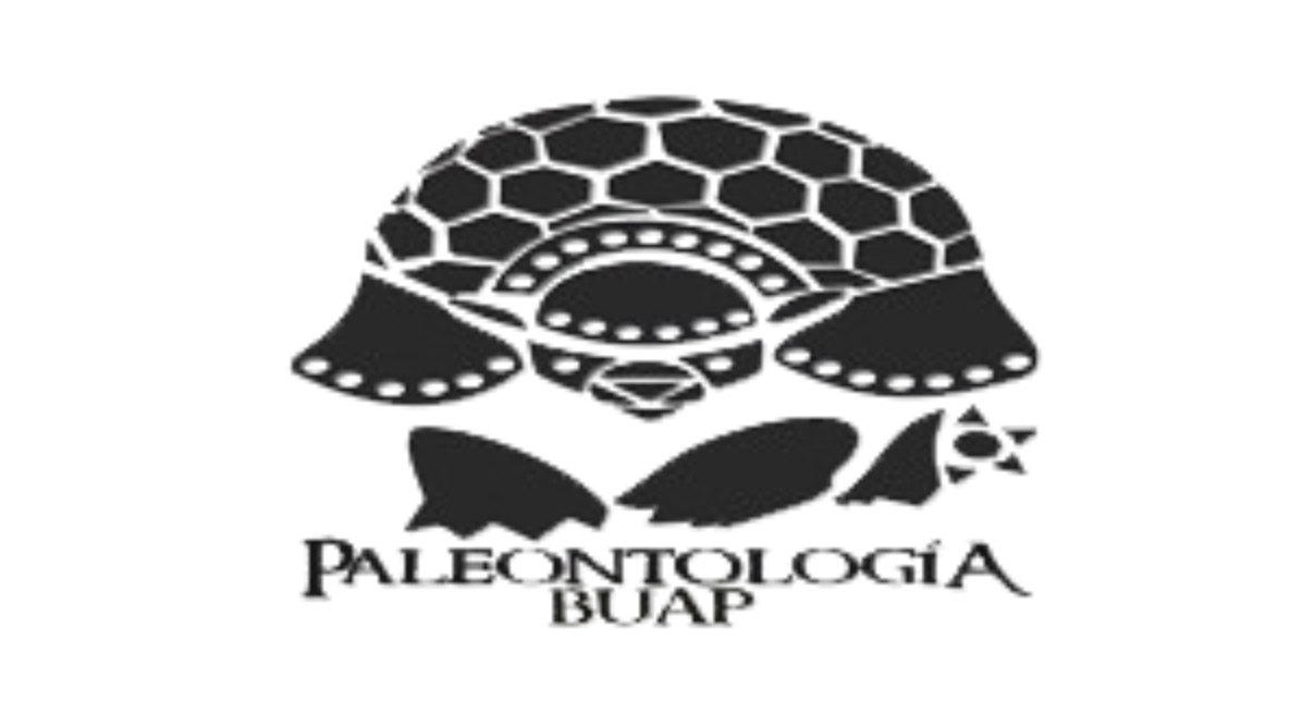 Descripción de la imagen